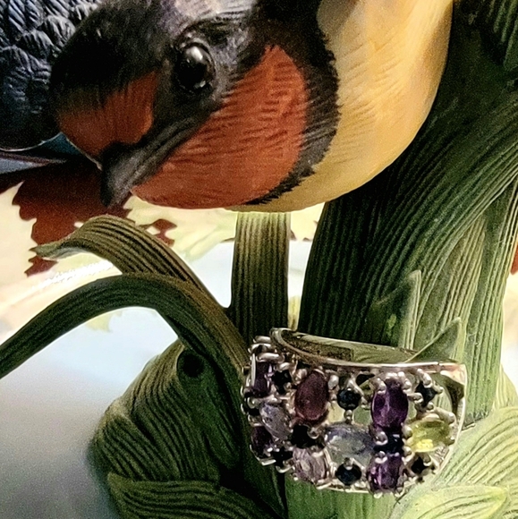 COPY - 🦚  SS Multi-Gemstone Ring - Picture 9 of 16